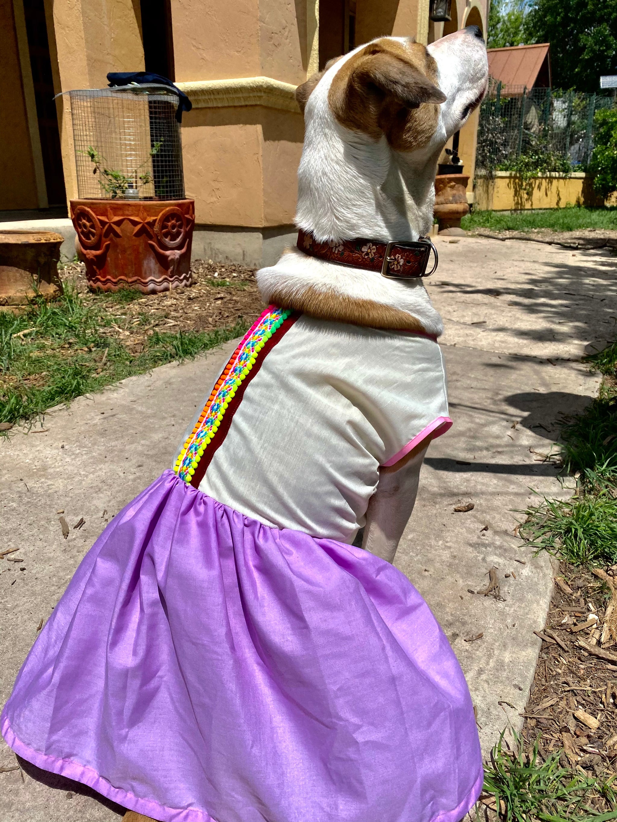 purple dog dresses Ruffled Mermaid Scale Dog Dress